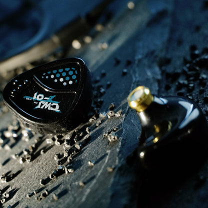 HE Cai Wenji Black 10mm Single Dynamic Driver 0.78 2pin HiFi In-Ear Monitors